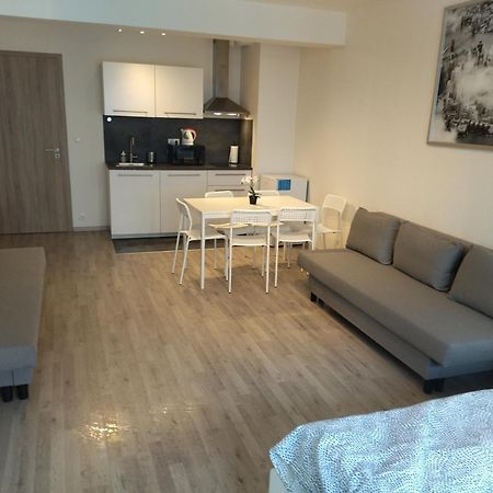 Brand New Studio Apartment #24 In Elite Residence With Free Secure Parking In The Center Прага Екстер'єр фото